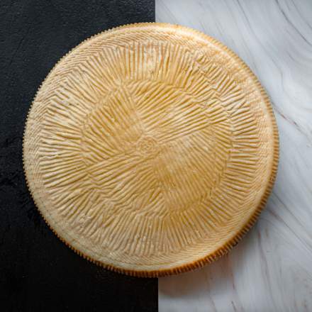 Univers des Pizzerias Zappo à Lyon Pizzas Lyon 5 &amp; 7